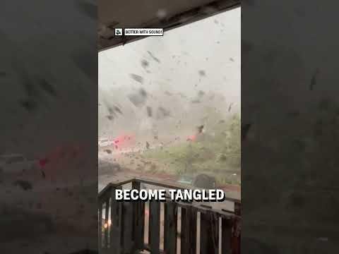 Logan City Residents Relieved as Cyclone Alert Cancelled