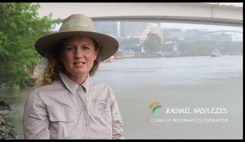 Queensland Wetland Restoration Efforts Thrive in Moreton Bay