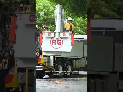 Cyclone Alfred Leaves Thousands Without Power in QLD and NSW